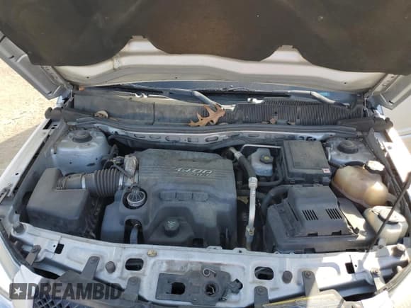 ✅ 2009 Chevrolet Equinox 1LT • VIN: 2CNDL33F096253071 • Лот: 52520625. Опубликован ранее на Copart с пробегом 216 124 миль. Бесплатный доступ к архиву аукционных продаж из США и подробный отчёт об истории автомобиля на DreamBid. Изображение 13.