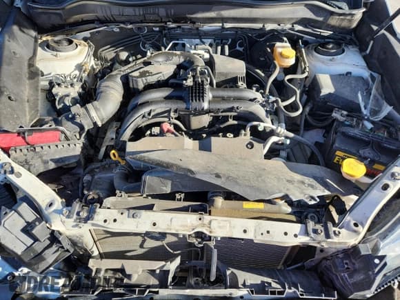 ✅ 2017 Subaru Forester • VIN: JF2SJABC8HH803558 • Lot: 91145415. Wystawiony na Copart z przebiegiem 98 200 mil. Bezpłatny archiwum sprzedaży aukcyjnych z USA i szczegółowy raport historii pojazdu na DreamBid. Zdjęcie 12.