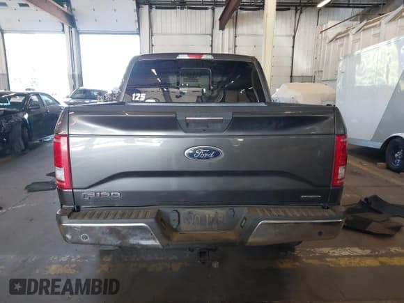✅ 2016 Ford F-150 XLT • VIN: 1FTEW1EF8GKE80133 • Lot: 43279399. Listed on IAAI with 162,195 mi. Free auction sales archive from the USA and detailed vehicle history report at DreamBid. Image 16.