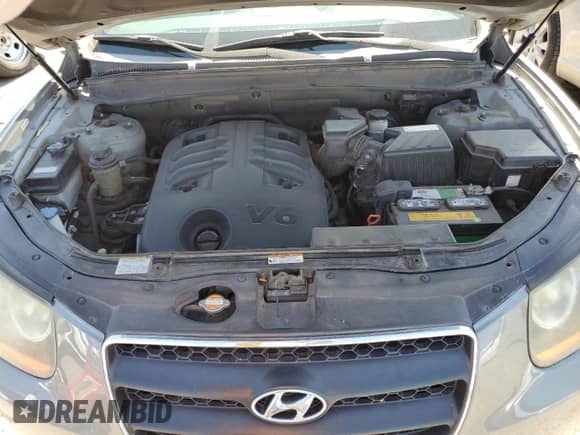 2009 Hyundai Santa Fe Limited z VIN 5NMSH13E79H243011, wystawiony jako Copart lot #72638174 z przebiegiem 211 173 mil mil oraz Szkoda całkowita • Salvage title. Historia ofert i sprzedaży dostępna na DreamBid. Obrazek 12.