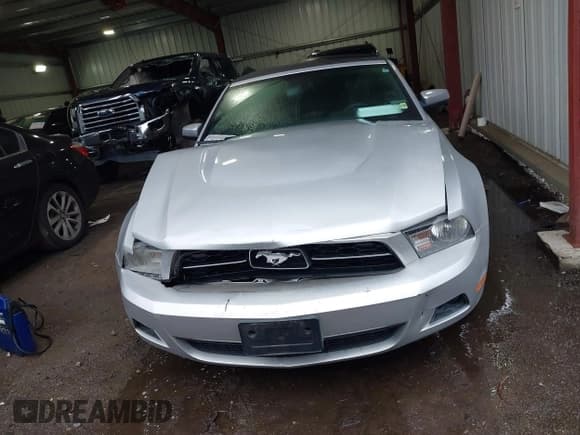 ✅ 2010 Ford Mustang V6 • VIN: 1ZVBP8EN3A5140634 • Лот: 42351111. Опубликован ранее на IAAI с пробегом 135 205 миль. Бесплатный доступ к архиву аукционных продаж из США и подробный отчёт об истории автомобиля на DreamBid. Изображение 12.