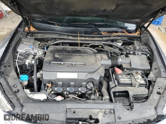 ✅ 2015 Honda Crosstour EX-L • VIN: 5J6TF1H55FL001423 • Lot: 90507735. Wystawiony na Copart z przebiegiem 99 258 mil. Bezpłatny archiwum sprzedaży aukcyjnych z USA i szczegółowy raport historii pojazdu na DreamBid. Zdjęcie 11.