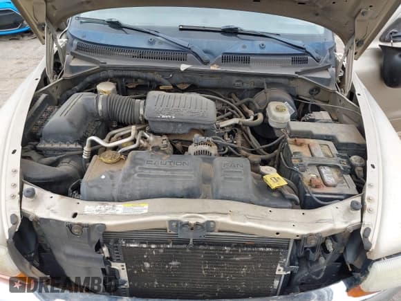 ✅ 2004 Dodge Dakota SLT • VIN: 1D7HL48N84S619527 • Lot: 42484398. Listed on IAAI with 275,998 mi. Free auction sales archive from the USA and detailed vehicle history report at DreamBid. Image 10.