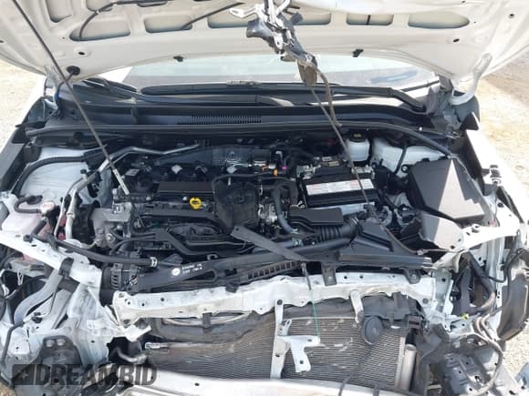 ✅ 2024 Toyota Corolla LE • VIN: JTDB4MEE8R3019397 • Lot: 43206910. Wystawiony na IAAI z przebiegiem 67 117 mil. Bezpłatny archiwum sprzedaży aukcyjnych z USA i szczegółowy raport historii pojazdu na DreamBid. Zdjęcie 10.