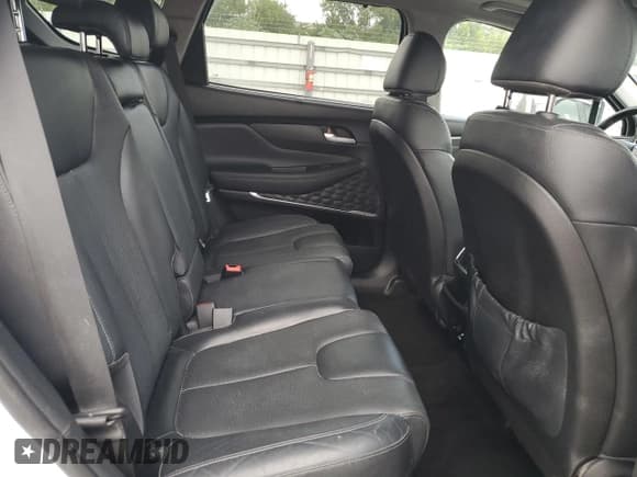 ✅ 2020 Hyundai Santa Fe Limited • VIN: 5NMS53AD6LH147005 • Lot: 91862925. Wystawiony na Copart z przebiegiem 75 429 mil. Bezpłatny archiwum sprzedaży aukcyjnych z USA i szczegółowy raport historii pojazdu na DreamBid. Zdjęcie 10.