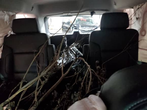 2020 Chevrolet Tahoe Premier with VIN 1GNSKCKC2LR127433, listed as a Copart auction lot 43428705 with Not provided miles and Salvage title. Bid and sale history available at DreamBid. Image 10.