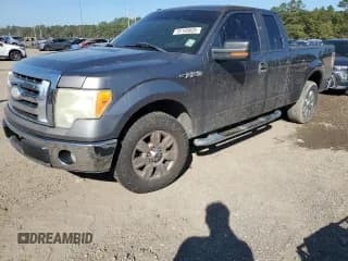 ✅ 2009 Ford F-150 STX • VIN: 1FTRX12809FB48008 • Lot: 91145625. Wystawiony na Copart z przebiegiem Nie podano. Bezpłatny archiwum sprzedaży aukcyjnych z USA i szczegółowy raport historii pojazdu na DreamBid. Zdjęcie 1.
