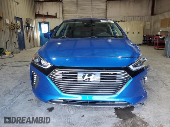✅ 2018 Hyundai Ioniq Limited • VIN: KMHC05LC2JU097630 • Lot: 48547355. Wystawiony na Copart z przebiegiem 133 880 mil. Bezpłatny archiwum sprzedaży aukcyjnych z USA i szczegółowy raport historii pojazdu na DreamBid. Zdjęcie 5.