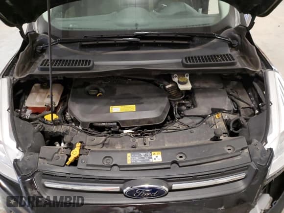 ✅ 2013 Ford Escape SE • VIN: 1FMCU0GX5DUA93807 • Lot: 91721735. Wystawiony na Copart z przebiegiem 68 430 mil. Bezpłatny archiwum sprzedaży aukcyjnych z USA i szczegółowy raport historii pojazdu na DreamBid. Zdjęcie 12.