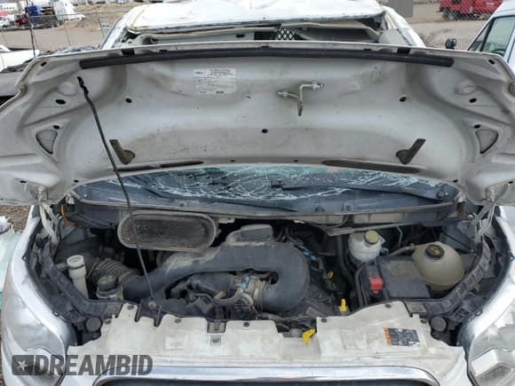 ✅ 2017 Ford Transit • VIN: 1FTYR1YM6HKB11030 • Lot: 87198464. Wystawiony na Copart z przebiegiem 173 848 mil. Bezpłatny archiwum sprzedaży aukcyjnych z USA i szczegółowy raport historii pojazdu na DreamBid. Zdjęcie 12.