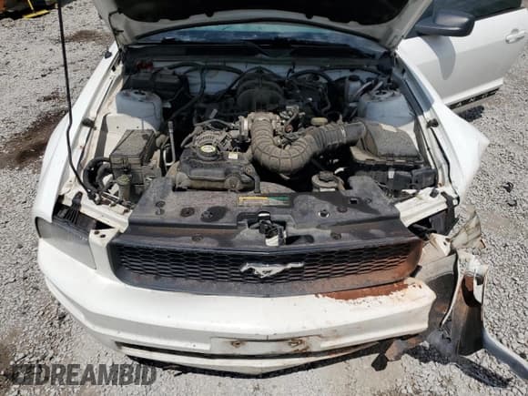 ✅ 2009 Ford Mustang • VIN: 1ZVHT84N495114613 • Lot: 64277155. Listed on Copart with 152,907 mi. Free auction sales archive from the USA and detailed vehicle history report at DreamBid. Image 11.