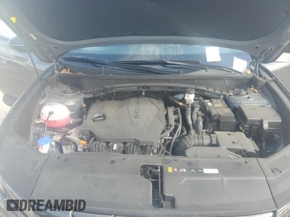 ✅ 2024 Hyundai Tucson XRT • VIN: KM8JF3DEXRU276486 • Lot: 73648914. Wystawiony na Copart z przebiegiem Nie podano. Bezpłatny archiwum sprzedaży aukcyjnych z USA i szczegółowy raport historii pojazdu na DreamBid. Zdjęcie 12.