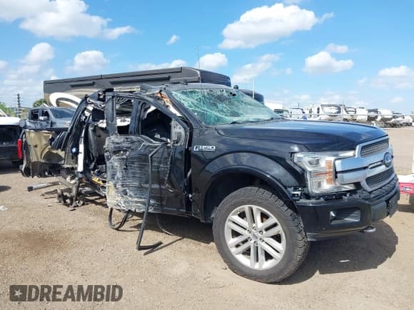 ✅ 2019 Ford F-150 XL • VIN: 1FTEW1E48KFB95626 • Lot: 42702825. Listed on IAAI with Not provided. Free auction sales archive from the USA and detailed vehicle history report at DreamBid. Image 6.