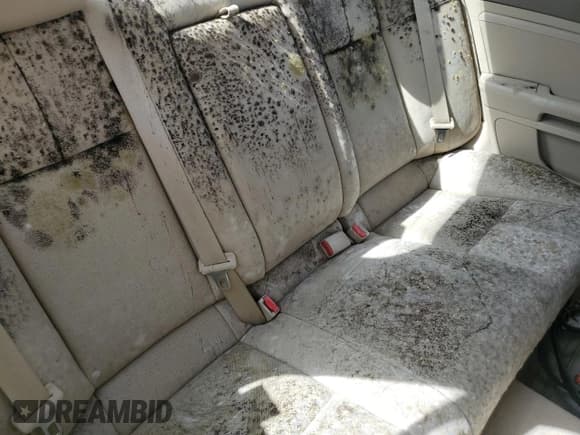 ✅ 2009 Cadillac STS RWD • VIN: 1G6DW67V690134595 • Лот: 76619544. Опубликован ранее на Copart с пробегом Не указан. Бесплатный доступ к архиву аукционных продаж из США и подробный отчёт об истории автомобиля на DreamBid. Изображение 10.