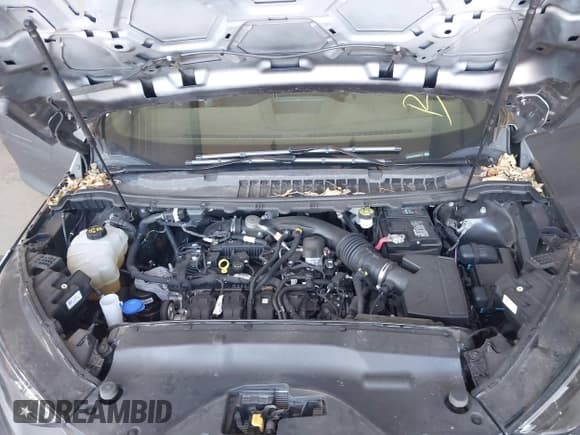 ✅ 2022 Ford Edge SEL • VIN: 2FMPK4J97NBA59710 • Лот: 42336340. Опубликован ранее на IAAI с пробегом 31 952 миль. Бесплатный доступ к архиву аукционных продаж из США и подробный отчёт об истории автомобиля на DreamBid. Изображение 10.