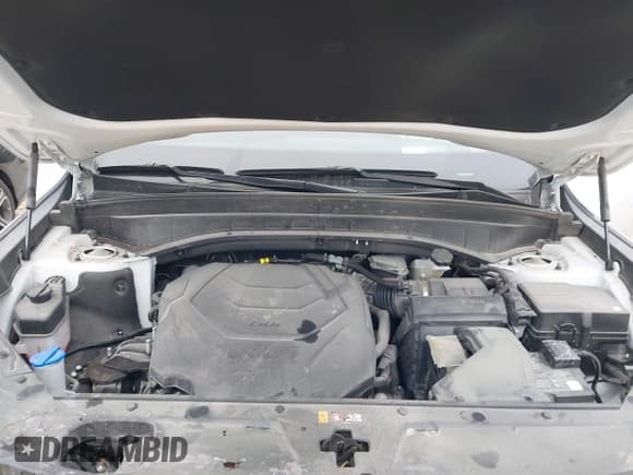 ✅ 2024 Kia Telluride SX Prestige X-Pro • VIN: 5XYP5DGCXRG490882 • Lot: 41634304. Wystawiony na IAAI z przebiegiem 30 476 mil. Bezpłatny archiwum sprzedaży aukcyjnych z USA i szczegółowy raport historii pojazdu na DreamBid. Zdjęcie 10.