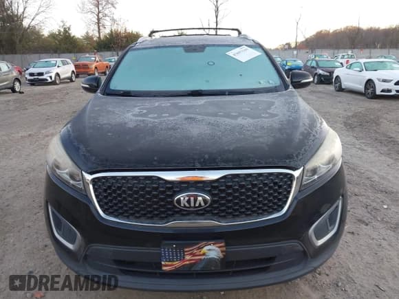✅ 2017 Kia Sorento LX • VIN: 5XYPGDA59HG209805 • Lot: 43693169. Listed on IAAI with 183,015 mi. Free auction sales archive from the USA and detailed vehicle history report at DreamBid. Image 13.