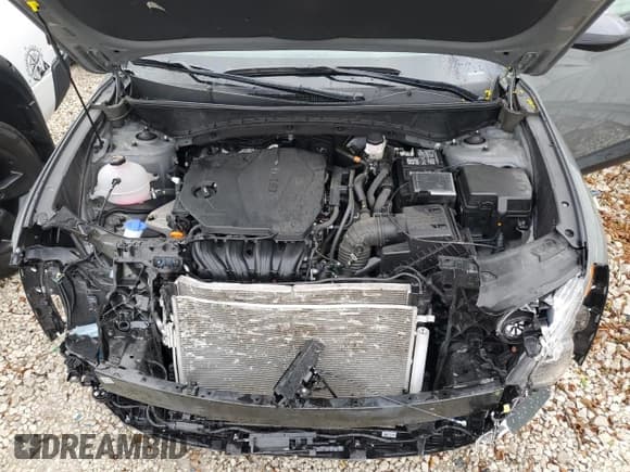 ✅ 2024 Hyundai Tucson SEL • VIN: 5NMJBCDE4RH352839 • Lot: 78439094. Wystawiony na Copart z przebiegiem 28 054 mil. Bezpłatny archiwum sprzedaży aukcyjnych z USA i szczegółowy raport historii pojazdu na DreamBid. Zdjęcie 12.