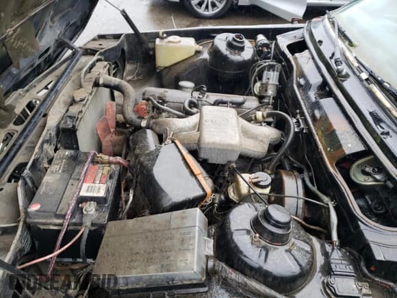 ✅ 1981 BMW 3 Series • VIN: WBAAG3302B8006638 • Lot: 87534855. Listed on Copart with 123,266 mi. Free auction sales archive from the USA and detailed vehicle history report at DreamBid. Image 11.