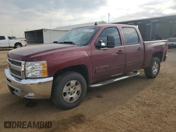 ✅ 2013 Chevrolet Silverado 1500 LT • VIN: 3GCUKSE21DG253959 • Lot: 69210055. Listed on Copart with 131,254 mi. Free auction sales archive from the USA and detailed vehicle history report at DreamBid. Image 1.