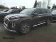 2021 Hyundai Palisade Limited с VIN KM8R5DHE6MU291047, выставлен на аукционе Copart как лот 72892824 с пробегом 118 457 миль миль и Списание • Salvage title. История ставок и продаж доступна на DreamBid. Изображение 1.