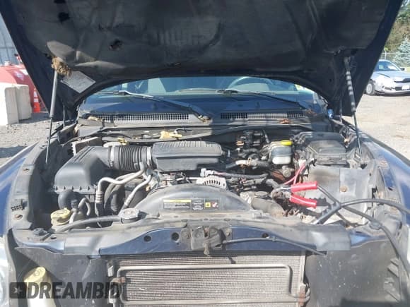 ✅ 2005 Dodge Dakota SLT • VIN: 1D7HW48N05S227232 • Lot: 42816124. Listed on IAAI with 187,080 mi. Free auction sales archive from the USA and detailed vehicle history report at DreamBid. Image 10.