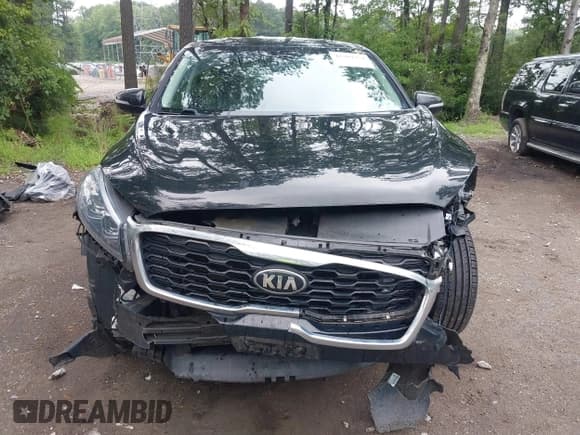✅ 2020 Kia Sorento LX • VIN: 5XYPG4A55LG671612 • Lot: 42704751. Listed on IAAI with 160,113 mi. Free auction sales archive from the USA and detailed vehicle history report at DreamBid. Image 13.