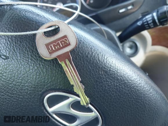 ✅ 2008 Hyundai Santa Fe SE • VIN: 5NMSH13E48H198544 • Lot: 43775442. Listed on IAAI with 317,914 mi. Free auction sales archive from the USA and detailed vehicle history report at DreamBid. Image 11.