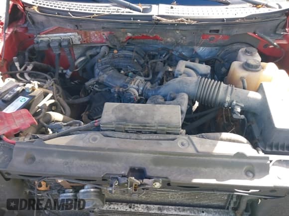 ✅ 2011 Ford F-150 XL • VIN: 1FTMF1CM5BKD83218 • Lot: 41495522. Listed on IAAI with 135,745 mi. Free auction sales archive from the USA and detailed vehicle history report at DreamBid. Image 10.