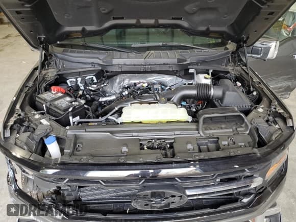 ✅ 2025 Ford F-150 XLT • VIN: 1FTEW3LP3SFA18863 • Lot: 90088565. Wystawiony na Copart z przebiegiem 3 743 mil. Bezpłatny archiwum sprzedaży aukcyjnych z USA i szczegółowy raport historii pojazdu na DreamBid. Zdjęcie 11.