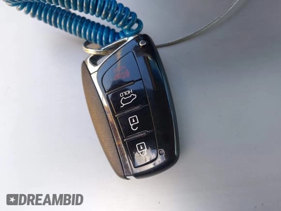 ✅ 2017 Hyundai Santa Fe 2.4L • VIN: 5NMZU3LB1HH012955 • Lot: 43634021. Listed on IAAI with 75,051 mi. Free auction sales archive from the USA and detailed vehicle history report at DreamBid. Image 11.