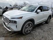 ✅ 2021 Hyundai Santa Fe SEL • VIN: 5NMS2DAJ9MH313541 • Лот: 41628134. Опубликован ранее на Copart с пробегом 6 355 миль. Бесплатный доступ к архиву аукционных продаж из США и подробный отчёт об истории автомобиля на DreamBid. Изображение 1.