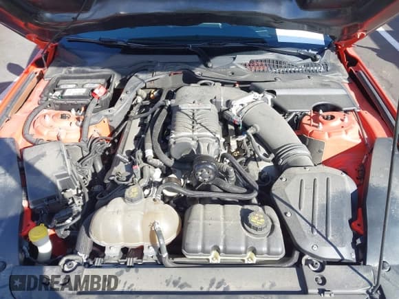 ✅ 2015 Ford Mustang GT Premium • VIN: 1FA6P8CF9F5329897 • Lot: 43313995. Listed on IAAI with 41,986 mi. Free auction sales archive from the USA and detailed vehicle history report at DreamBid. Image 10.