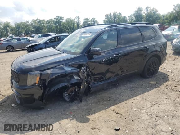 ✅ 2025 Kia Telluride SX-Prestige X-Line • VIN: 5XYP5DGCXSG612095 • Лот: 64888715. Опубликован ранее на Copart с пробегом 13 568 миль. Бесплатный доступ к архиву аукционных продаж из США и подробный отчёт об истории автомобиля на DreamBid. Изображение 1.