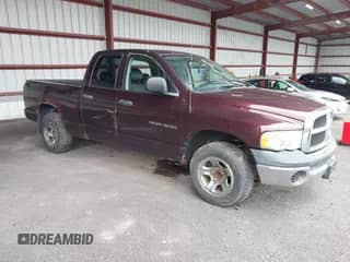 2004 Dodge 1500 ST z VIN 1D7HA18K64J266253, wystawiony jako IAAI lot #42013992 z przebiegiem 120 136 mil mil oraz . Historia ofert i sprzedaży dostępna na DreamBid. Obrazek 1.