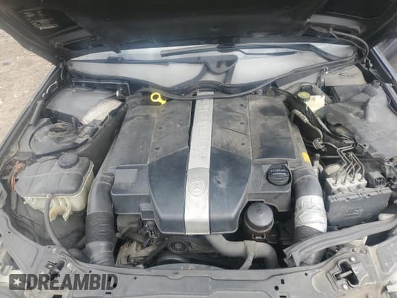 ✅ 2001 Mercedes-Benz C 230/260/280/320 • VIN: WDBRF61J71F072892 • Лот: 85146495. Опубликован ранее на Copart с пробегом Не указан. Бесплатный доступ к архиву аукционных продаж из США и подробный отчёт об истории автомобиля на DreamBid. Изображение 11.