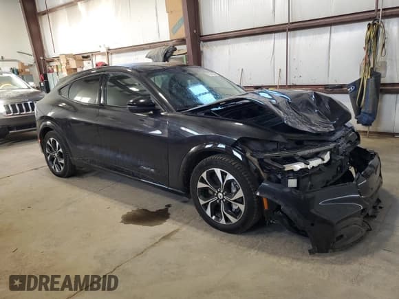 ✅ 2022 Ford Mustang Mach-E Premium • VIN: 3FMTK3SU7NMA16933 • Lot: 91351245. Listed on Copart with 133,178 mi. Free auction sales archive from the USA and detailed vehicle history report at DreamBid. Image 4.