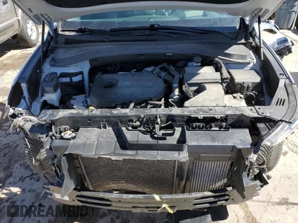 ✅ 2019 Hyundai Santa Fe Ultimate • VIN: 5NMS5CAA6KH108497 • Lot: 47505363. Wystawiony na Copart z przebiegiem 47 850 mil. Bezpłatny archiwum sprzedaży aukcyjnych z USA i szczegółowy raport historii pojazdu na DreamBid. Zdjęcie 12.