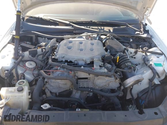 ✅ 2004 Infiniti G35 w/Leather • VIN: JNKCV54E64M809372 • Lot: 43821044. Listed on IAAI with Not provided. Free auction sales archive from the USA and detailed vehicle history report at DreamBid. Image 10.