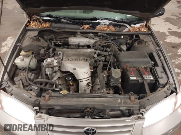 ✅ 1998 Toyota Camry LE • VIN: 4T1BG22K9WU357768 • Lot: 43848020. Listed on IAAI with 122,565 mi. Free auction sales archive from the USA and detailed vehicle history report at DreamBid. Image 10.