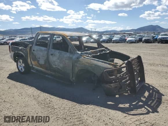 2009 Dodge 1500 Laramie with VIN 1D3HV13T89J516508, listed as a Copart auction lot 50441174 with Not provided miles and Clean title. Bid and sale history available at DreamBid. Image 4.