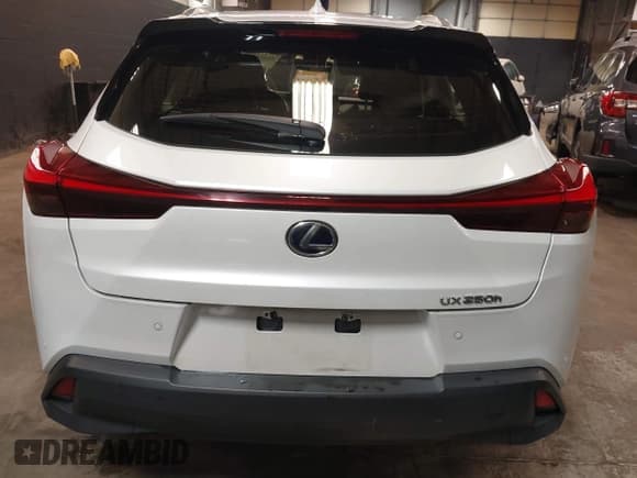 ✅ 2021 Lexus UX 250h • VIN: JTHP9JBH7M2051534 • Lot: 41624505. Listed on IAAI with 29,569 mi. Free auction sales archive from the USA and detailed vehicle history report at DreamBid. Image 16.