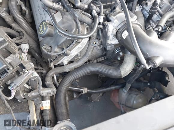 ✅ 2017 Ford Mustang GT • VIN: 1FA6P8CF2H5277824 • Lot: 43189021. Wystawiony na IAAI z przebiegiem 33 174 mil. Bezpłatny archiwum sprzedaży aukcyjnych z USA i szczegółowy raport historii pojazdu na DreamBid. Zdjęcie 22.