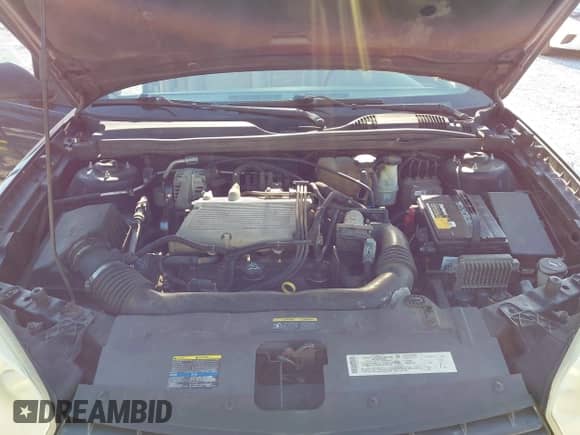 2004 Chevrolet Malibu LT with VIN 1G1ZU54804F123074, listed as a IAAI auction lot 43069062 with 142,486 mi miles and . Bid and sale history available at DreamBid. Image 10.