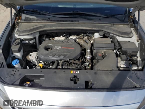 ✅ 2020 Hyundai Santa Fe SEL • VIN: 5NMS3CAA2LH208216 • Lot: 68666824. Wystawiony na Copart z przebiegiem 57 220 mil. Bezpłatny archiwum sprzedaży aukcyjnych z USA i szczegółowy raport historii pojazdu na DreamBid. Zdjęcie 12.