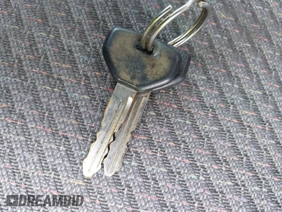 ✅ 2001 Dodge 1500 Work Special • VIN: 1B7HC16X71S234940 • Lot: 43696280. Listed on IAAI with 190,171 mi. Free auction sales archive from the USA and detailed vehicle history report at DreamBid. Image 11.