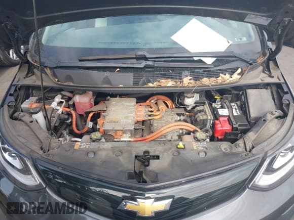 ✅ 2019 Chevrolet Bolt EV LT • VIN: 1G1FY6S07K4105626 • Lot: 41477173. Wystawiony na IAAI z przebiegiem 63 930 mil. Bezpłatny archiwum sprzedaży aukcyjnych z USA i szczegółowy raport historii pojazdu na DreamBid. Zdjęcie 10.