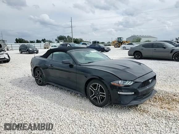 ✅ 2019 Ford Mustang EcoBoost Premium • VIN: 1FATP8UH5K5115647 • Лот: 87118525. Опубликован ранее на Copart с пробегом 56 306 миль. Бесплатный доступ к архиву аукционных продаж из США и подробный отчёт об истории автомобиля на DreamBid. Изображение 13.