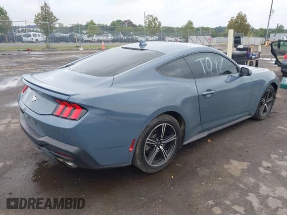 ✅ 2024 Ford Mustang EcoBoost Premium • VIN: 1FA6P8TH5R5147149 • Lot: 43300846. Listed on IAAI with 17,425 mi. Free auction sales archive from the USA and detailed vehicle history report at DreamBid. Image 4.