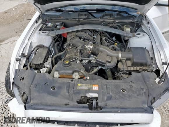 2014 Ford Mustang V6 с VIN 1ZVBP8EM8E5247885, выставлен на аукционе Copart как лот 69513425 с пробегом 92 344 миль миль и Списание • Salvage title. История ставок и продаж доступна на DreamBid. Изображение 11.